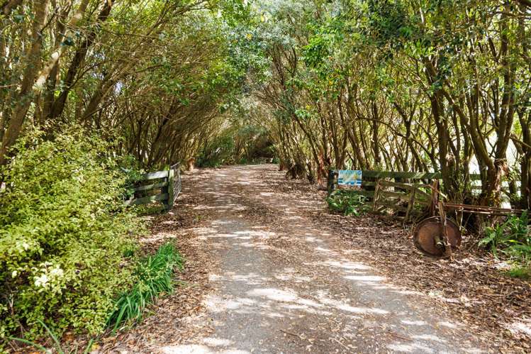 846 Colyton Road Bunnythorpe_30