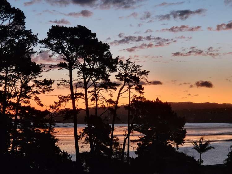 75 Halsey Drive Lynfield_33