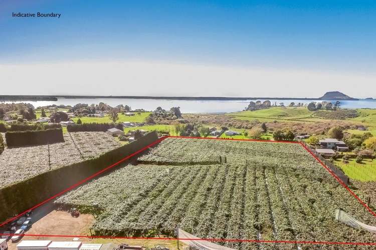 28 Lochhead Road Te Puna_0