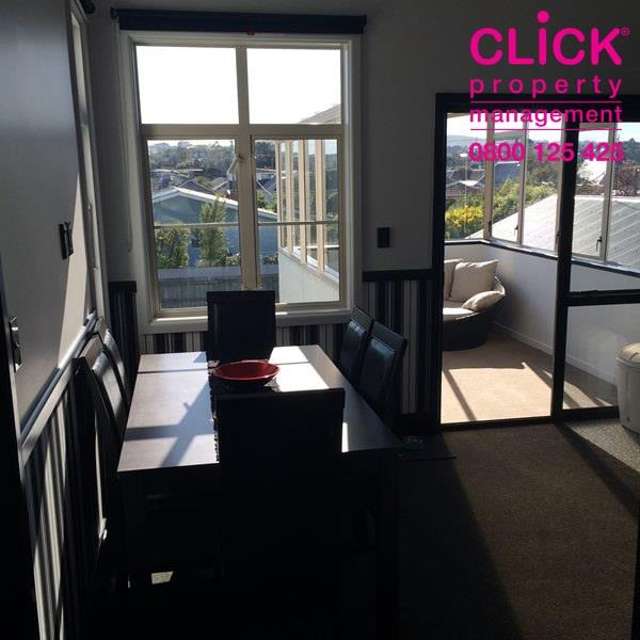 Otago Street Picton_1