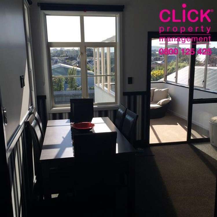 Otago Street Picton_1