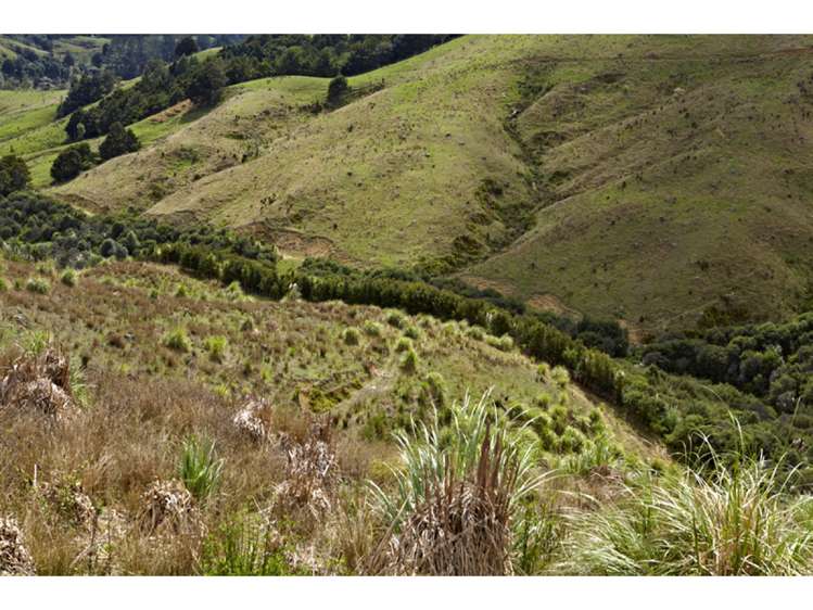 47 Haul Road Tahekeroa_8