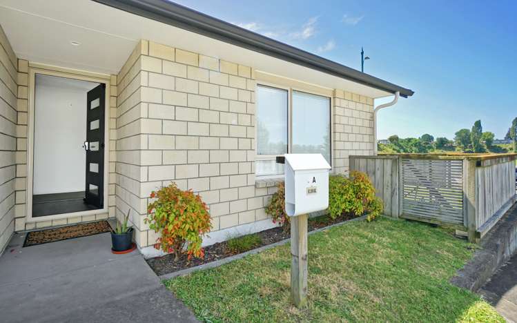 8a Cannell Farm Drive Te Puke_14