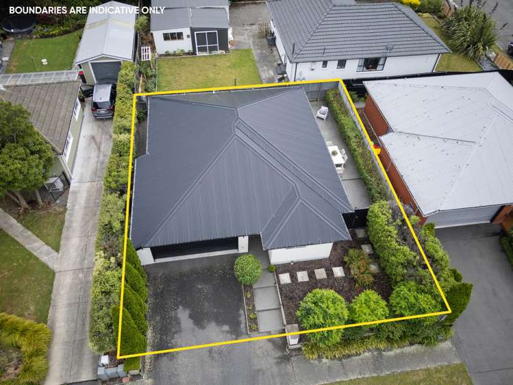 2B Gilbert Place Sydenham_15