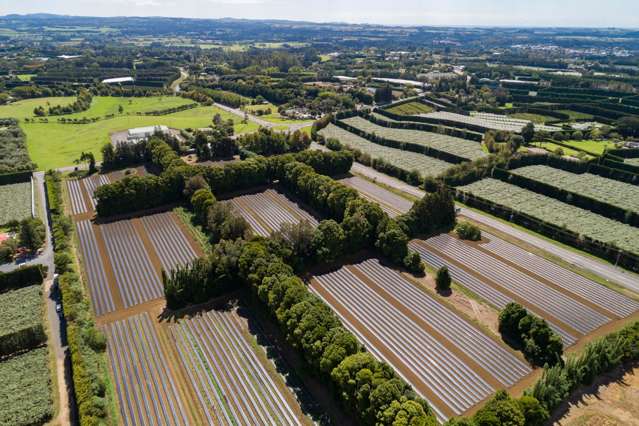 1433 State Hwy 10 Kerikeri_1