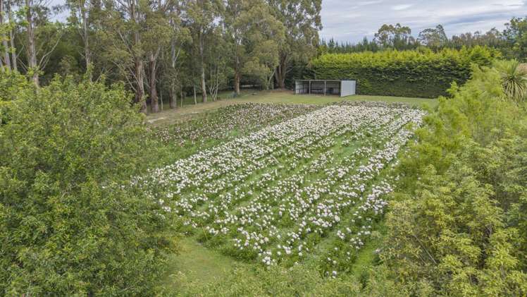 309 School Road West Eyreton_46