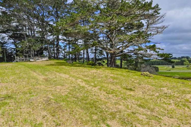 1501 East Coast Road Redvale_12