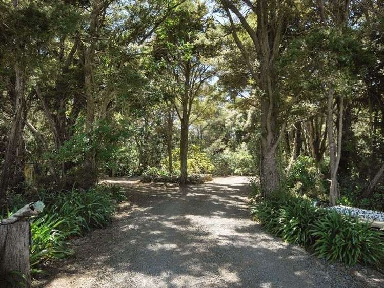 617 Norfolk Road Upper Plain_24