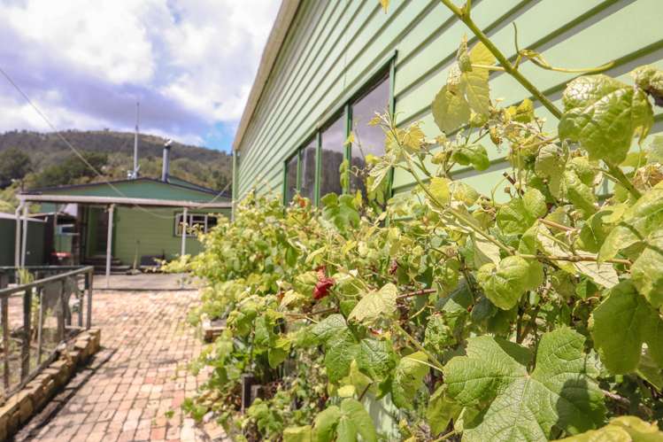 1 Ross Street Dunollie_37