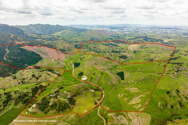 2174 Omana Road Tangiteroria_1