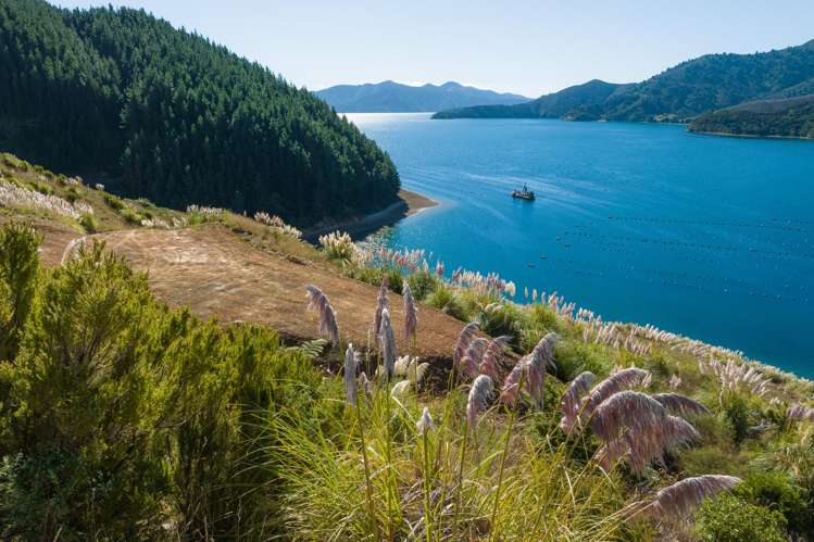 815 Manaroa Road Marlborough Sounds_25