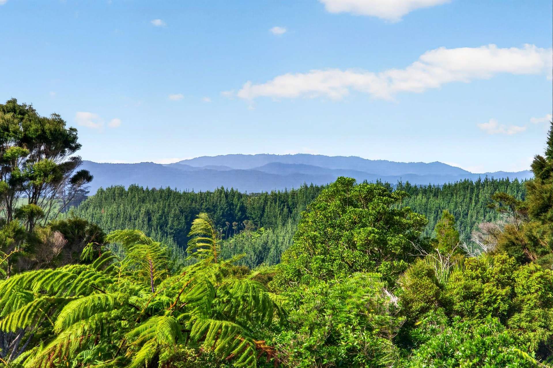 900 Hunua Road Hunua_0