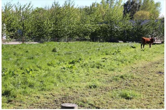 766 Gore Mataura State Highway Mataura_2