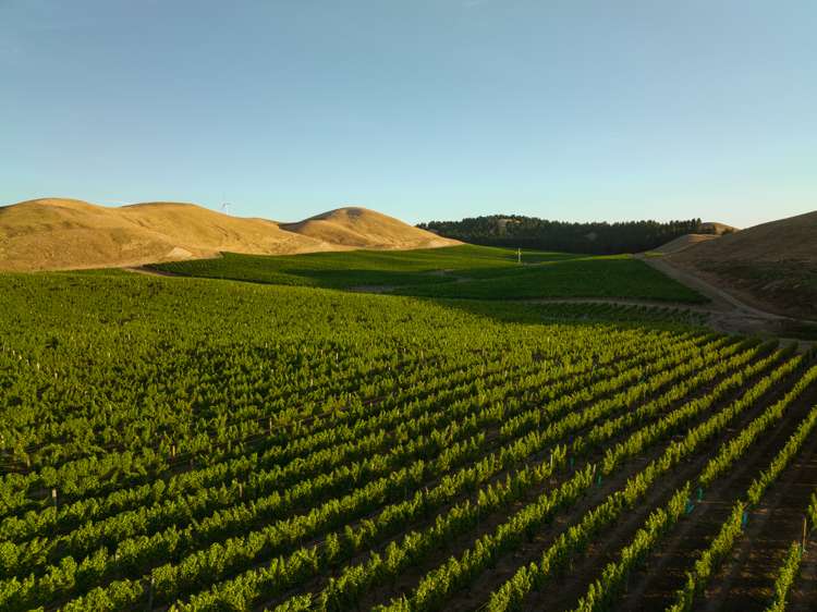 217 Caseys Road Seddon_18