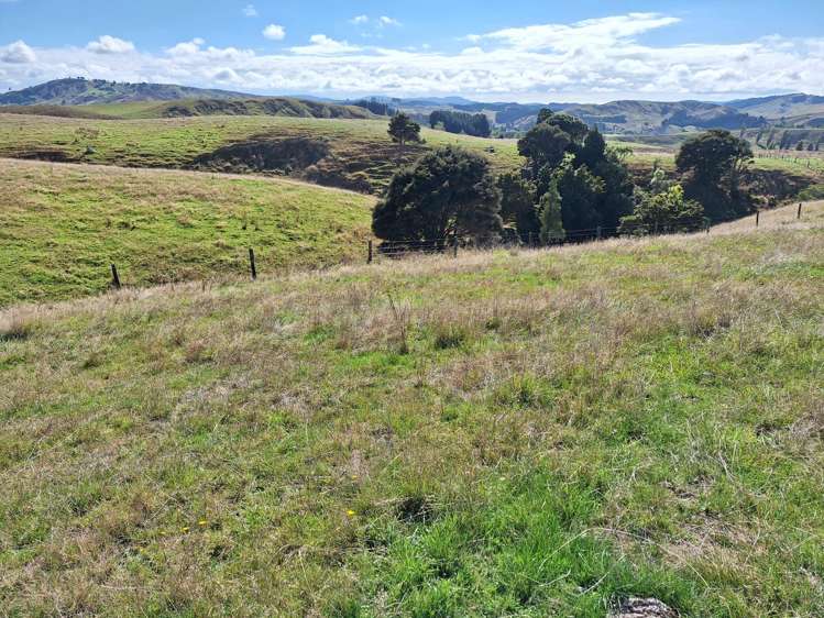 Mangaone Road Pongaroa_5