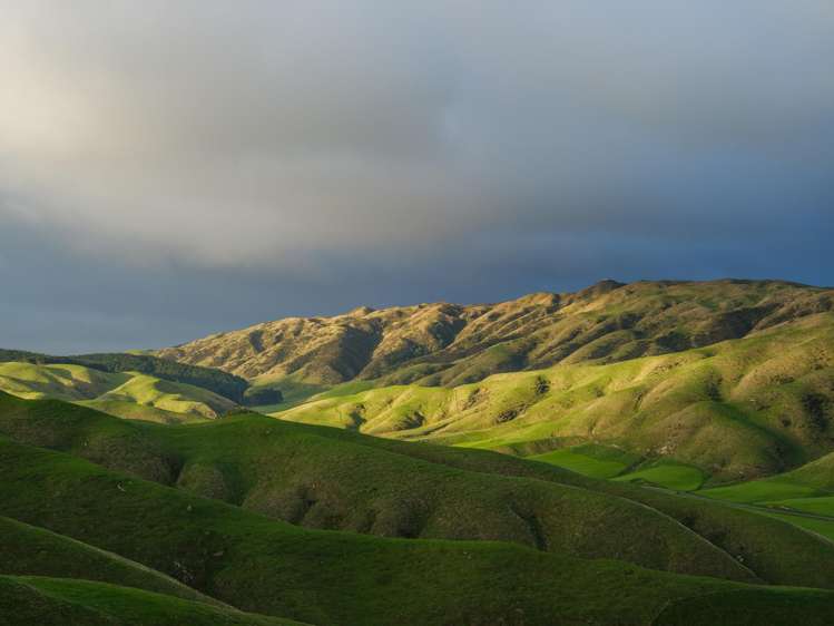 292 Boom Rock Road Ohariu_19