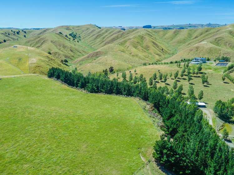 287a Millars Road Longbush_17