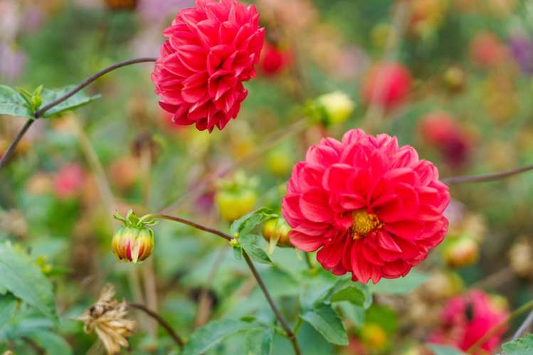 288 Oropi Gorge Road Oropi_33