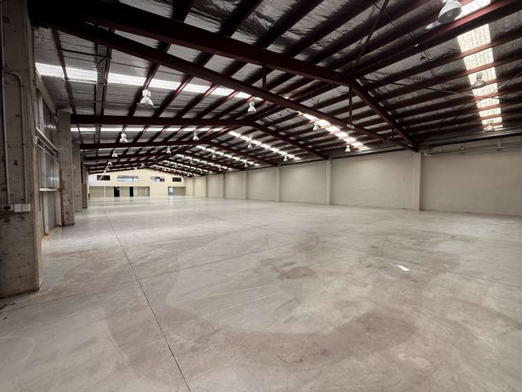 709A Rosebank Road Avondale_7