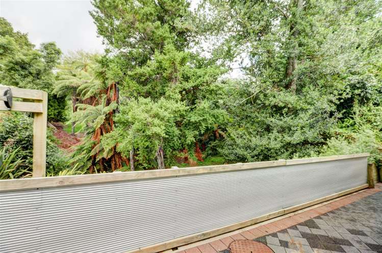 22a Manning Street Hamilton Central_10