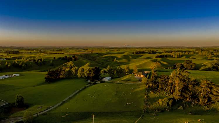 268 Halcombe Road Feilding_43