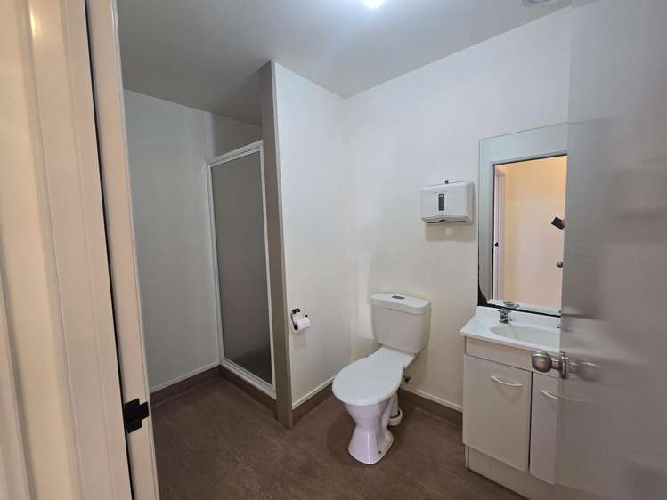 96 White Street Fenton Park_5