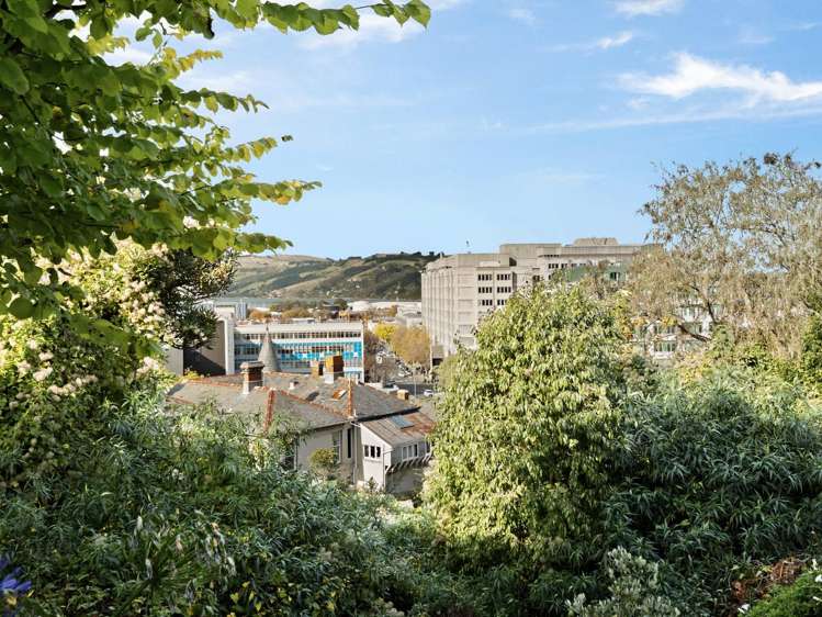 11 Elder Street Dunedin Central_19