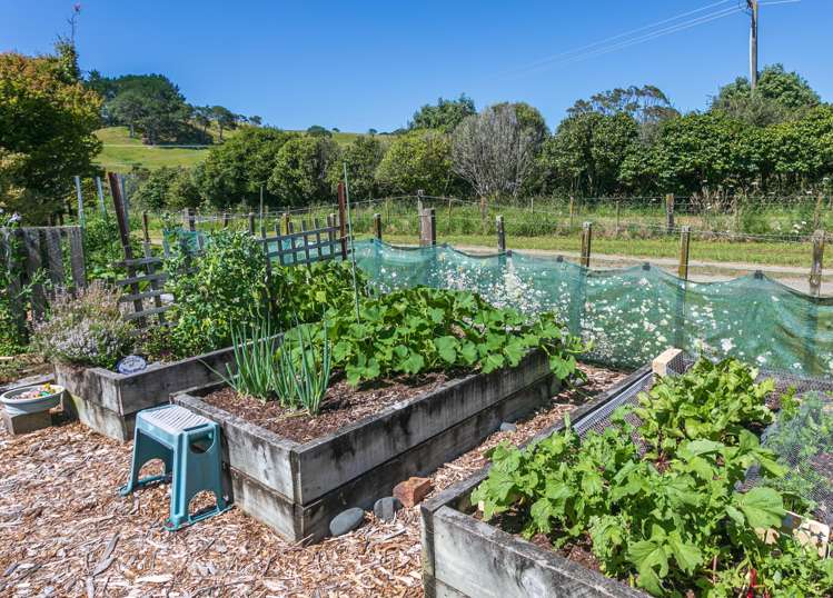 33 Orua Lane Hot Water Beach_13