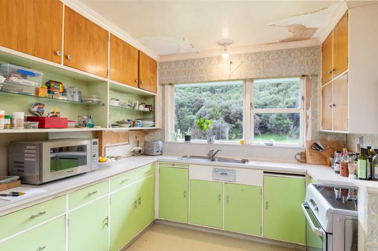 100 Hair Street Wainuiomata_6