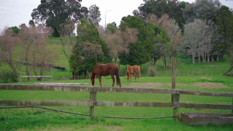 867 Whitford-Maraetai Road Beachlands_66