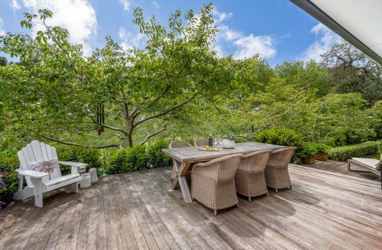 18 Ara-Kotinga Whitford_17