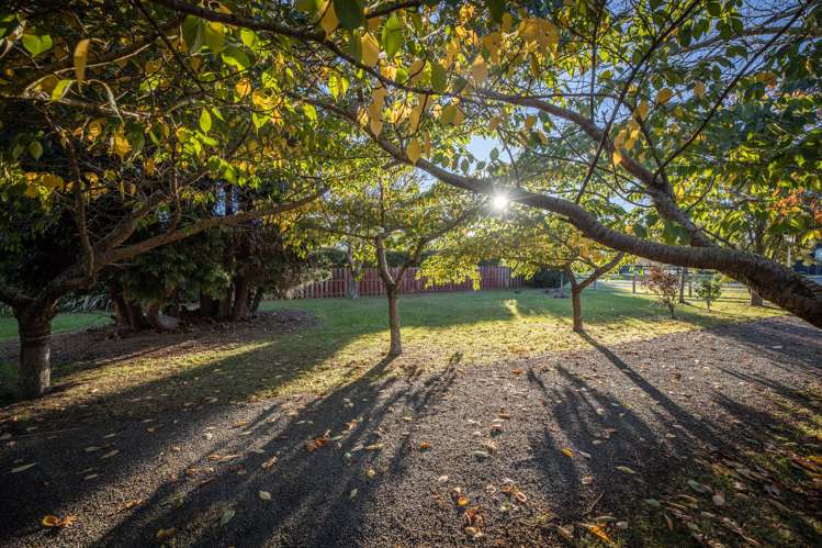 5 Brighton Street Leithfield_14