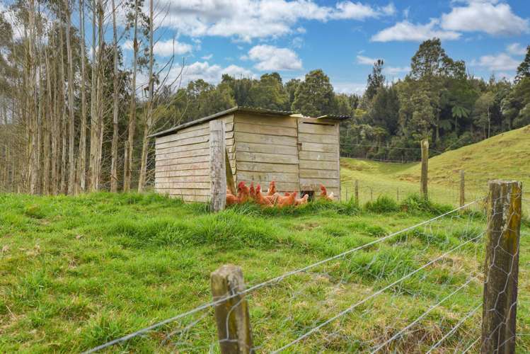 379 Tauranga Direct Road Hamurana_48