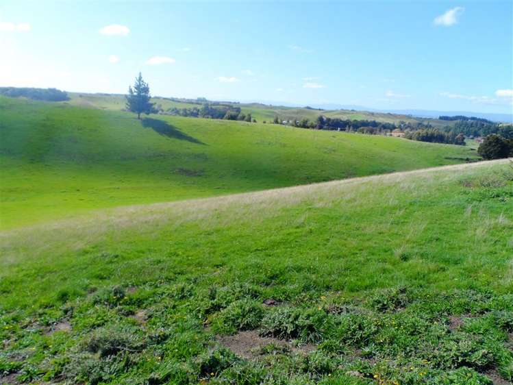 71 Wapiti Avenue Feilding_0