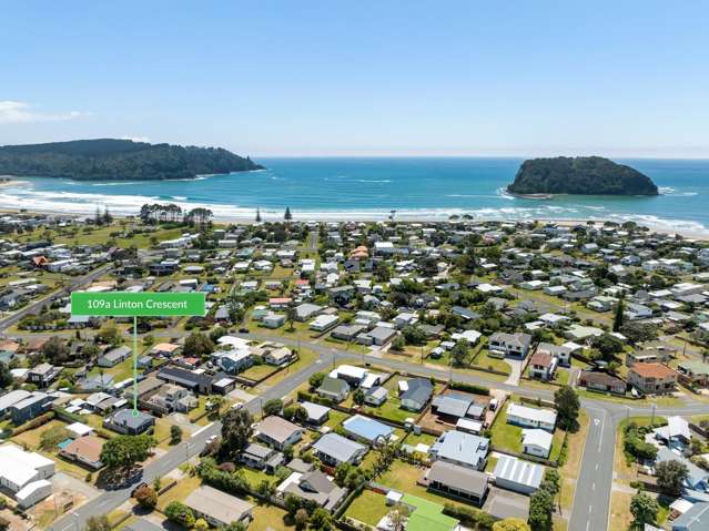 109A Linton Crescent Whangamata_2