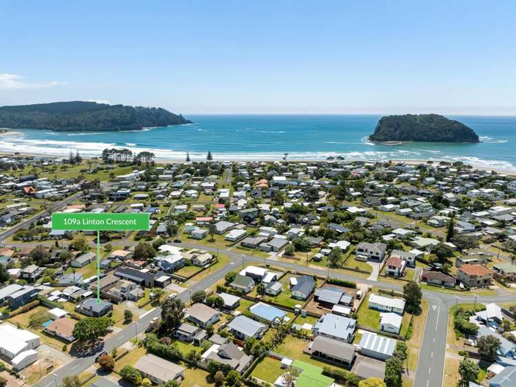 109A Linton Crescent Whangamata_2