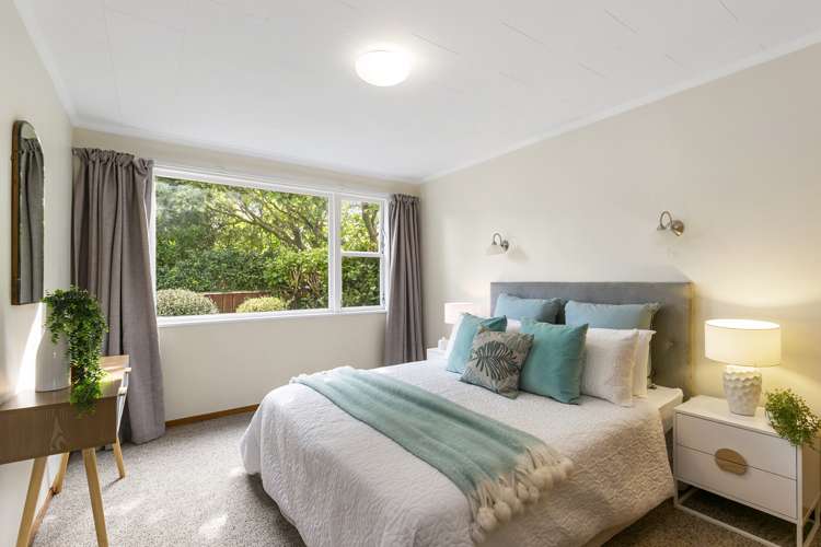 53a Darlington Road Miramar_5