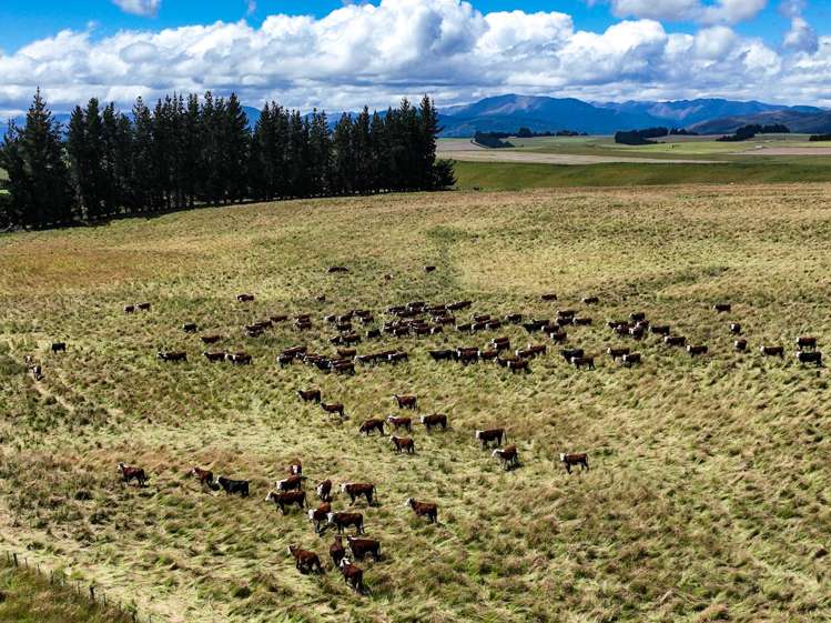 412 Kakapo Road Te Anau_11