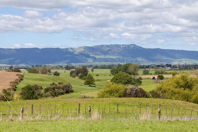 200 Gunn Road Matamata_1