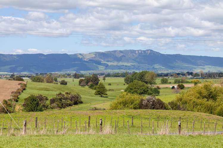 200 Gunn Road Matamata_1