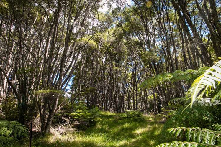 49 Mangotahi Road Thames_27