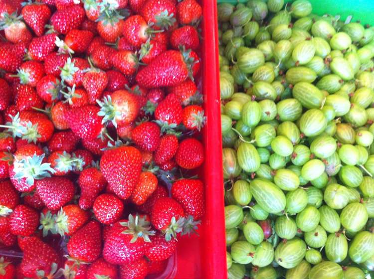 781 Outram-Mosgiel Road Mosgiel_18