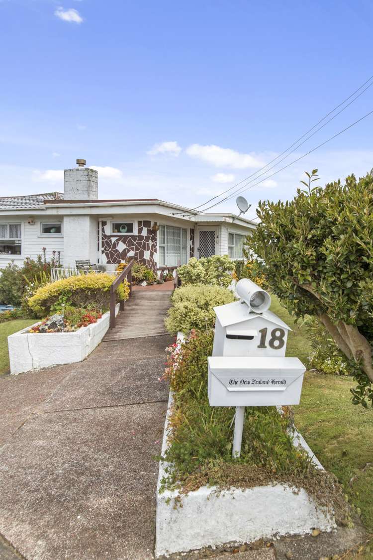 18 Penney Avenue Mount Roskill_1