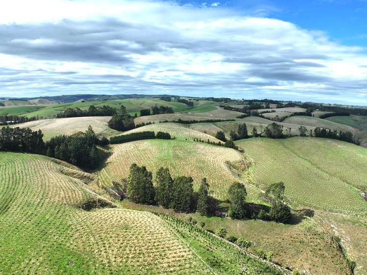 174 McCulloch Road Awamangu_24