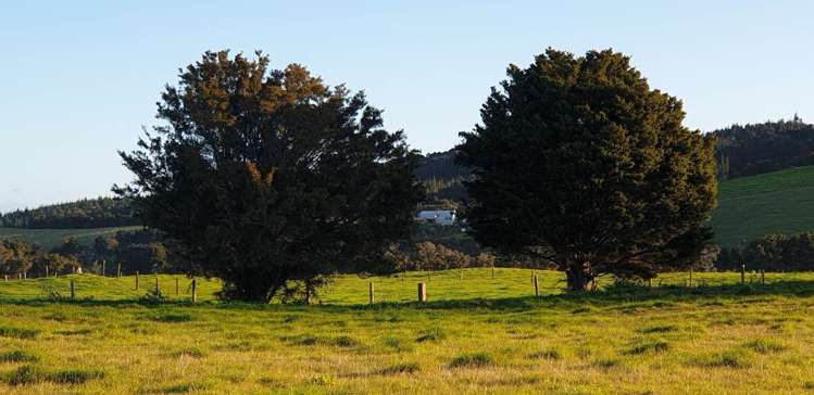 49 Takahiwai Road Ruakaka_5