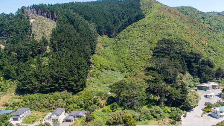 291 Happy Valley Road Owhiro Bay_2