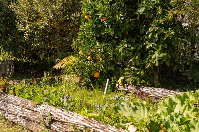 360 Main Road Tairua_4