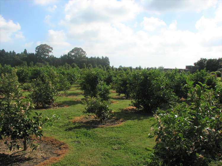 176 Young Road Paengaroa_10