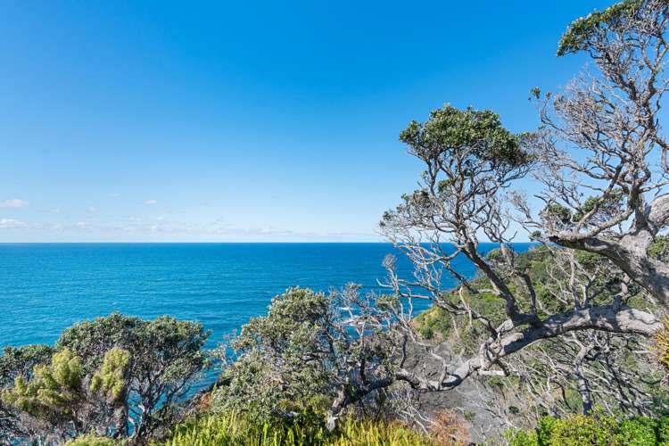 49 Dolphin Place Tutukaka_12