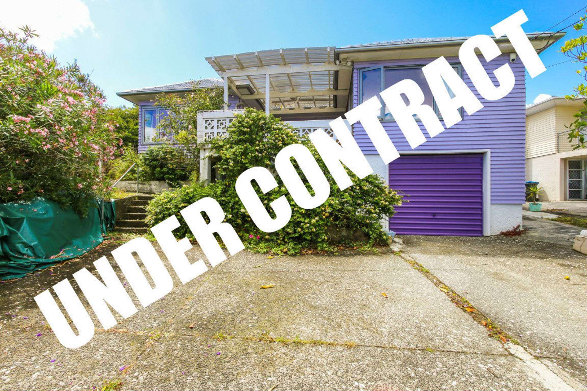 20 Netherton Street New Windsor Auckland City Houses for Sale